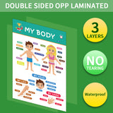 12-Pack Educational Posters for Kids - Laminated Preschool & Kindergarten Learning Charts - ABCs, Numbers, Shapes, Solar System, Weather & More