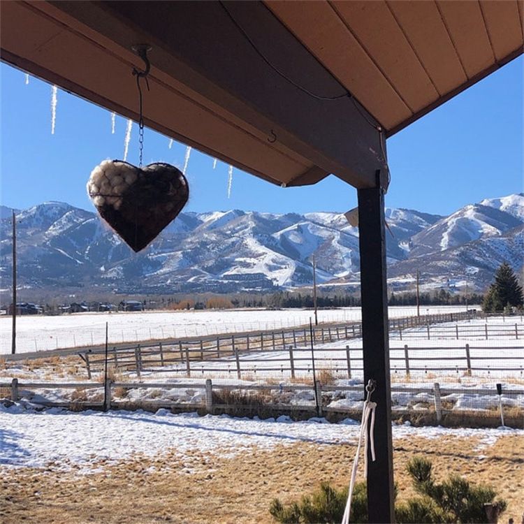 Bird Heart-Shaped Nest with Hanging Metal Frame - Outdoor Garden Decor & Wild Bird Support -  Unique Yard Art for Backyard Sanctuaries and Nature Lover Gifts