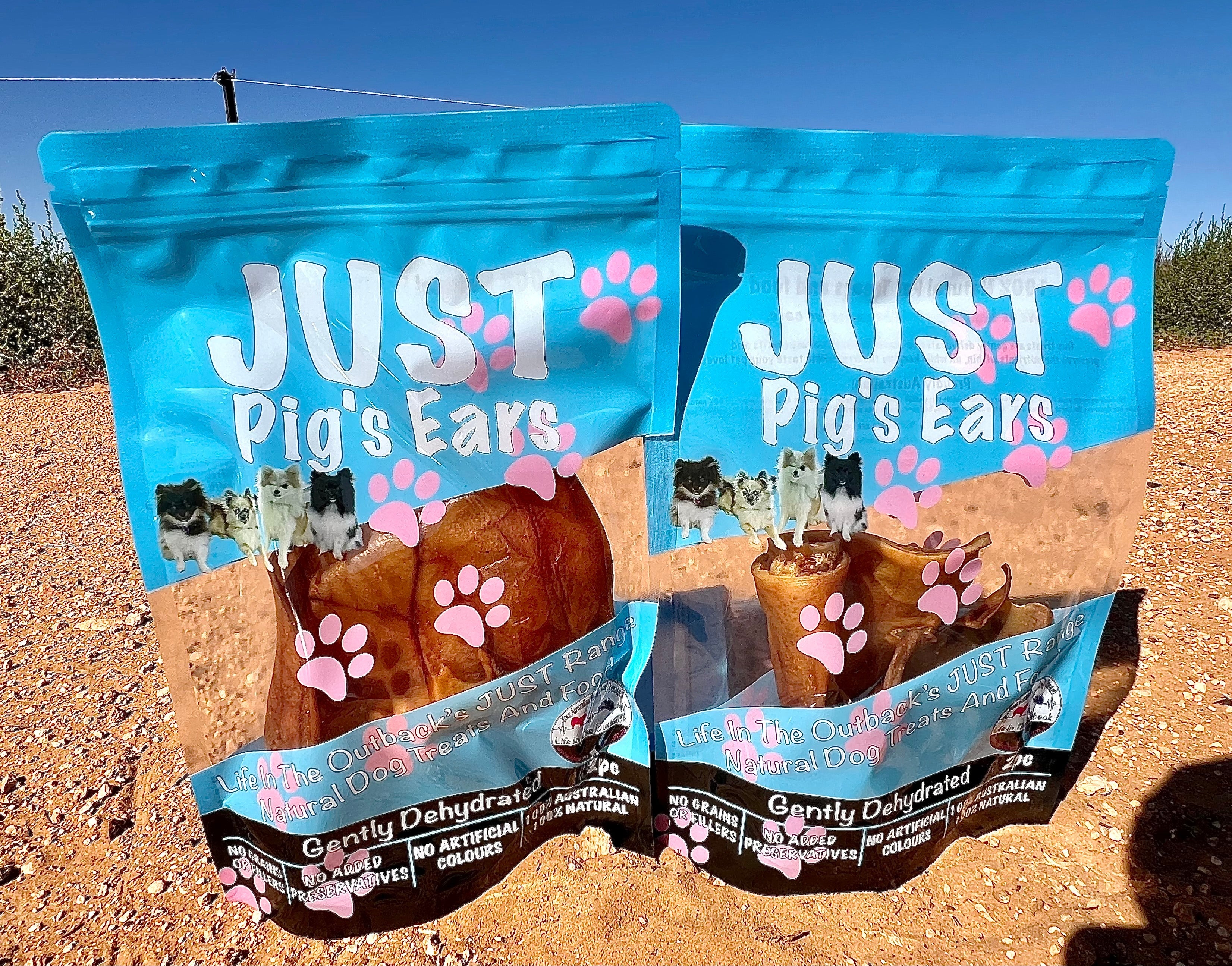 Dog Food: 1x Just Pig's Ears