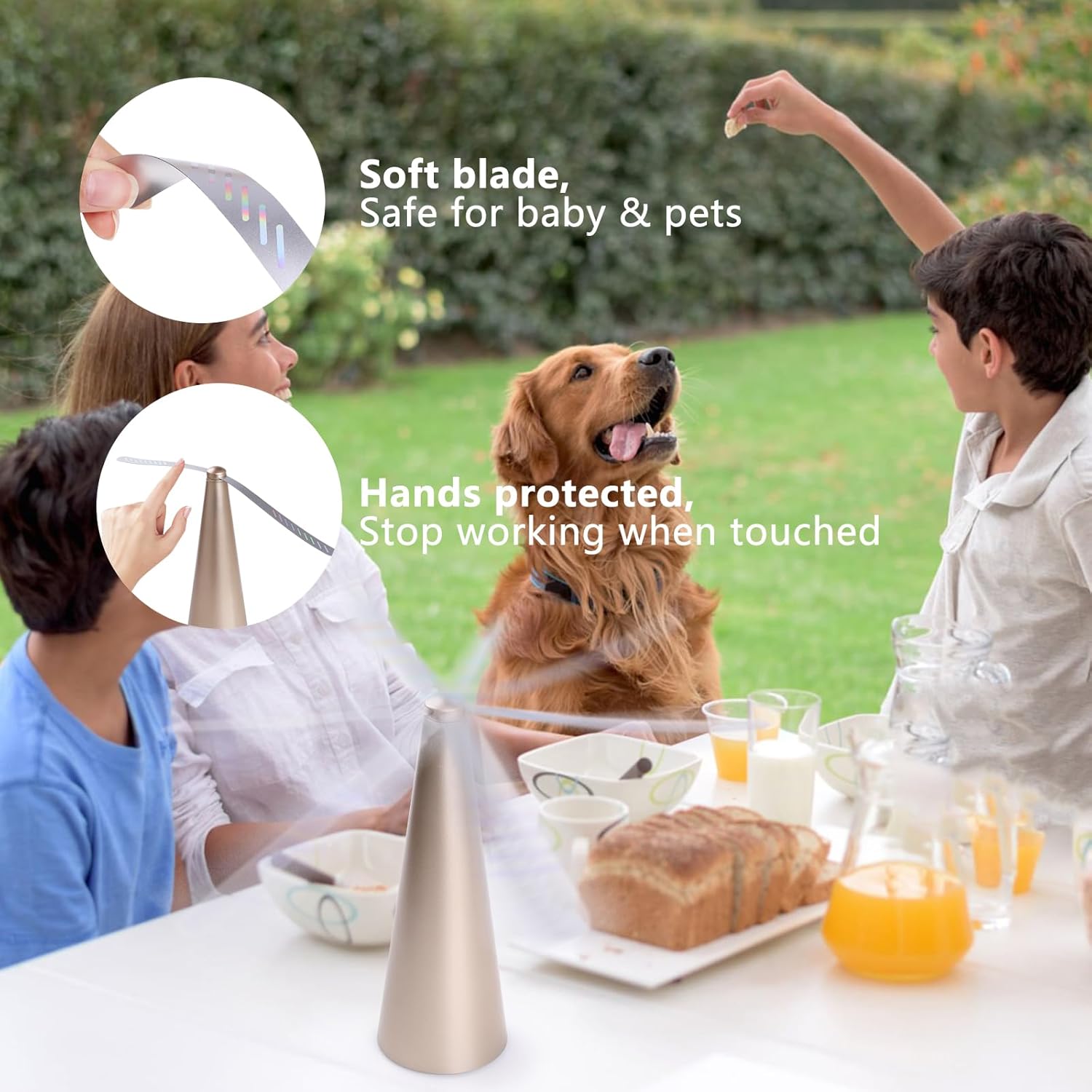 Household Insect Repellents: Battery Operated Shoo-Fly Chemical Free Fly Repellent Fan Gold