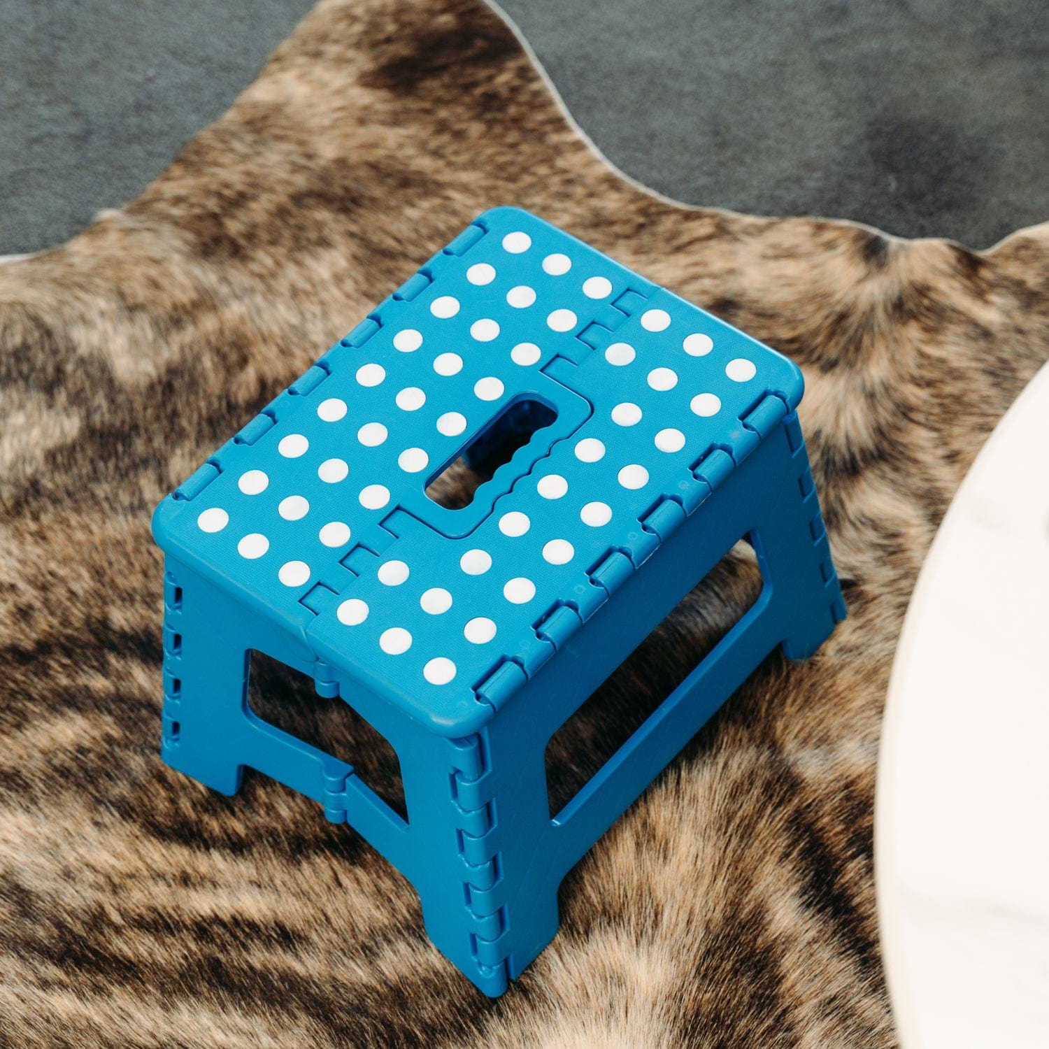 Camp Furniture: Plastic Folding Stool Portable Chair Outdoor Camping Blue