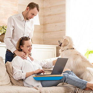 Desks: Portable Laptop Desk with Cushion Support