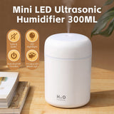 Humidifiers: Living Today Mini LED Ultrasonic Humidifier 300ml