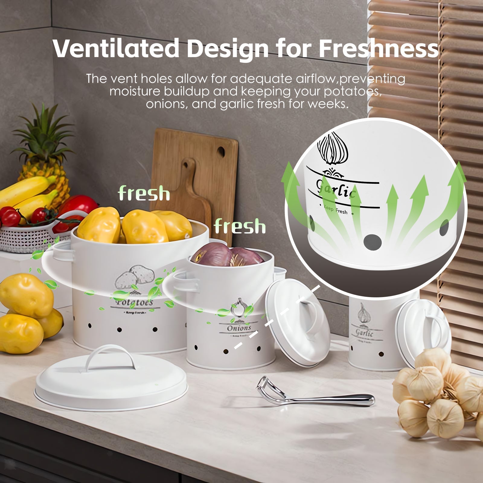 Food Storage: 3 pcs Galvanised Iron Fruit Vegetable Storage Tins