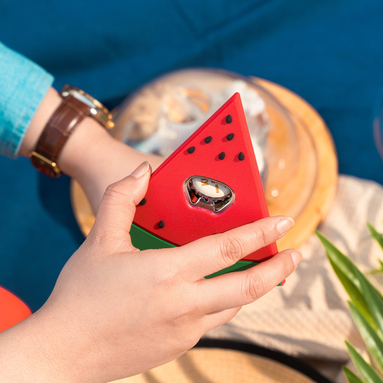 Outdoor Play Equipment: 4Pks of 12cm Summer Essential Novelty Bottle Opener