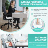 Back Care: Memory Foam Lumbar Back Support Cushion Seat Set