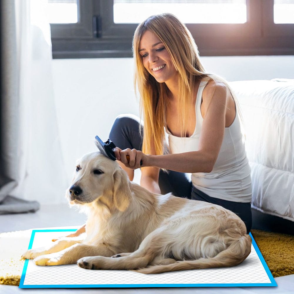 Dog Training Aids: 200pcs Dog Absorbent Training Pad 60 x 60 cm