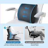 Wellness Accessories: Bamboo Memory Foam Lumbar Support Cushion