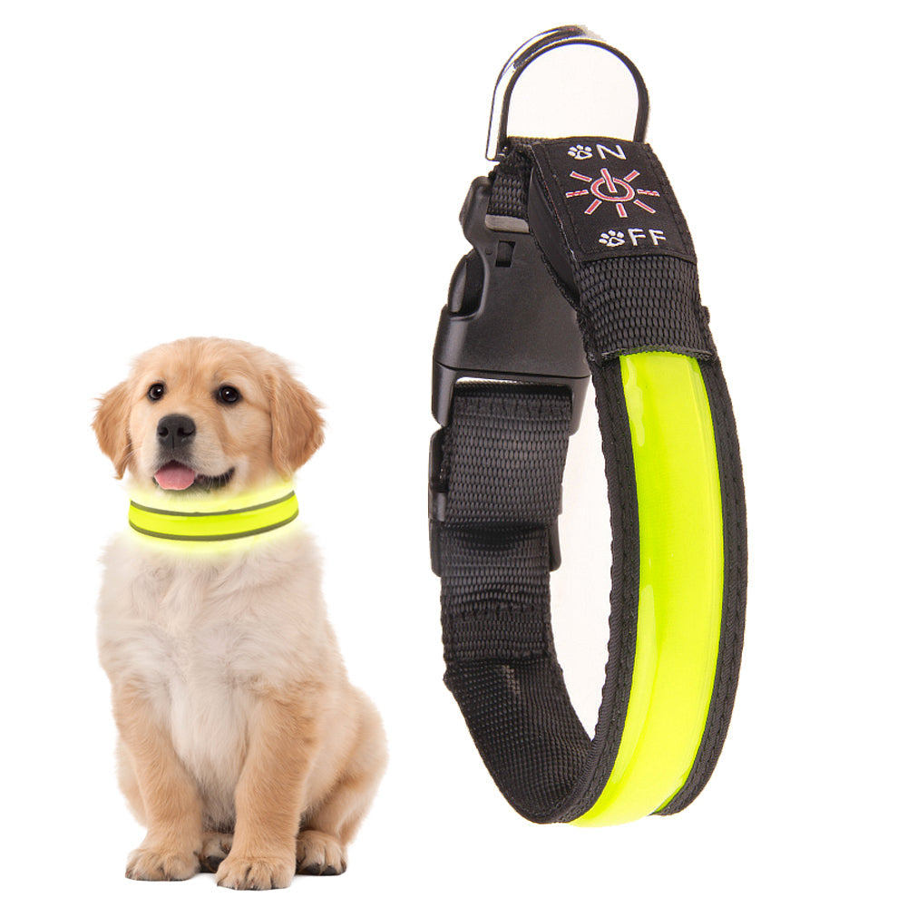 Dog Collars, Leads & Harnesses: 50cm Rechargeable Light-up LED Pet Collar