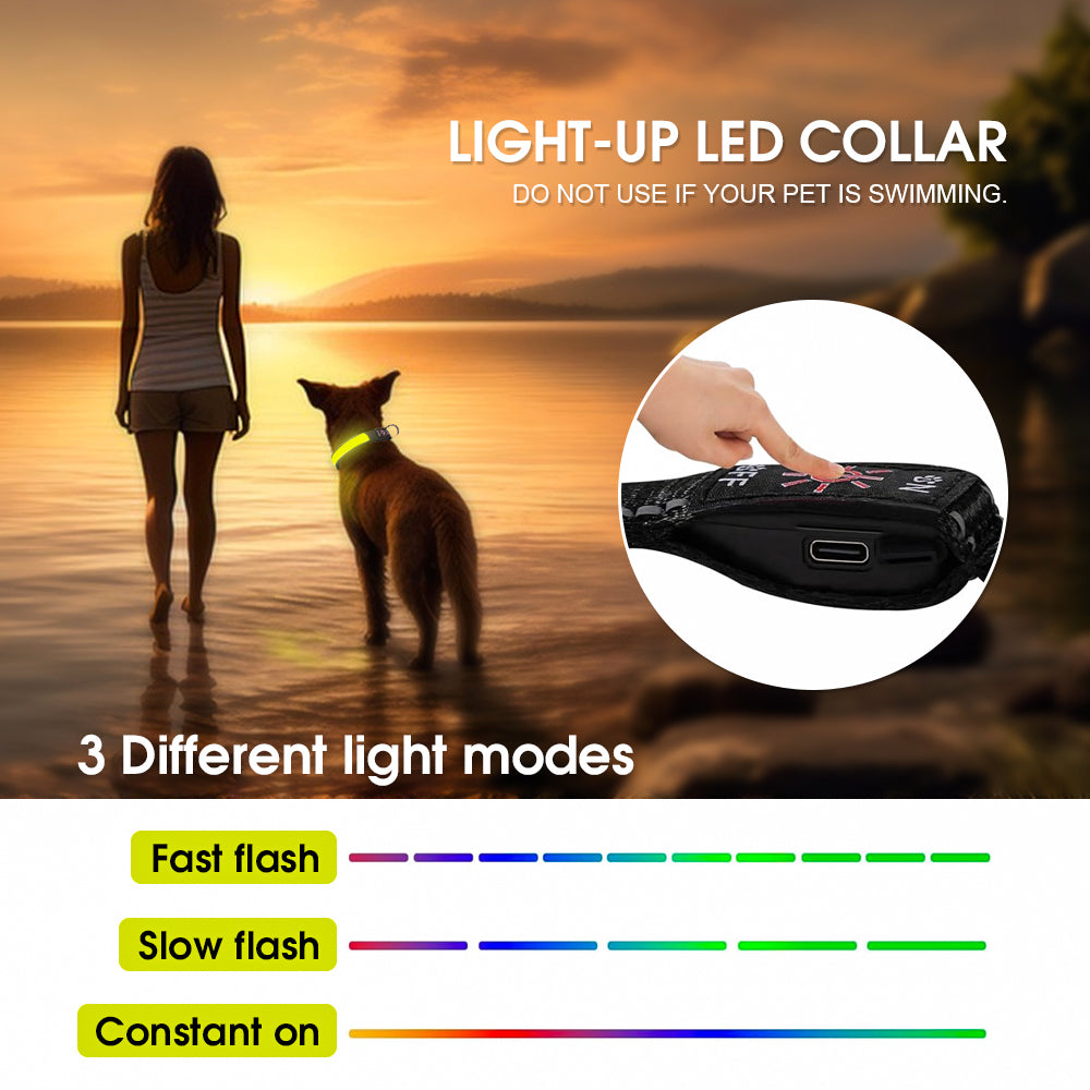 Dog Collars, Leads & Harnesses: 50cm Rechargeable Light-up LED Pet Collar