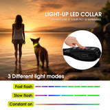 Dog Collars, Leads & Harnesses: 50cm Rechargeable Light-up LED Pet Collar