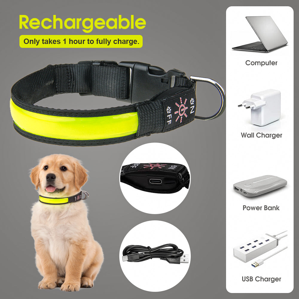 Dog Collars, Leads & Harnesses: 50cm Rechargeable Light-up LED Pet Collar