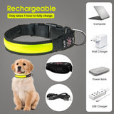 Dog Collars, Leads & Harnesses: 50cm Rechargeable Light-up LED Pet Collar