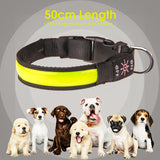 Dog Collars, Leads & Harnesses: 50cm Rechargeable Light-up LED Pet Collar