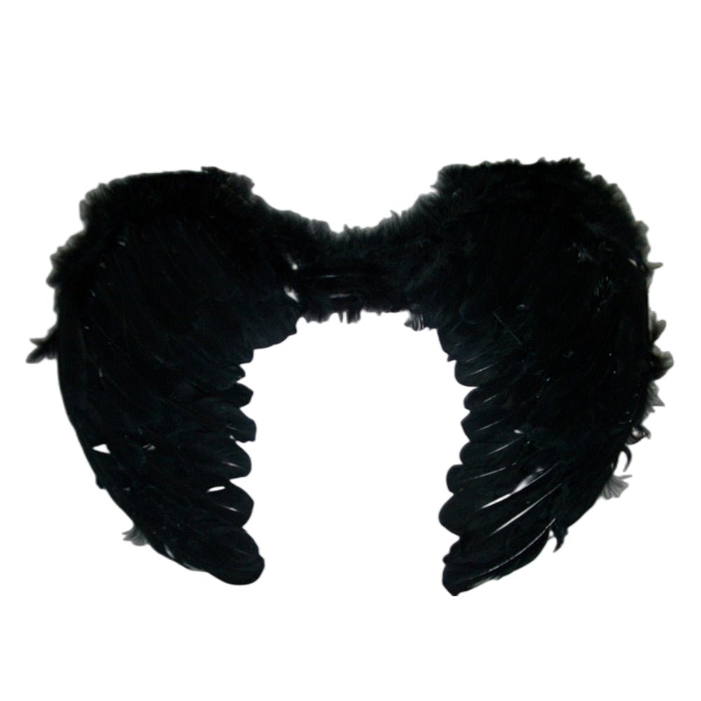 3D Wall Art: Large feather angel wings assorted colours - Blue