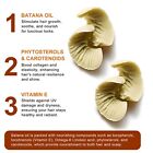 Hair Styling Products: hualijia batana oil 120g scalp and hair oil