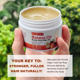 Hair Styling Products: hualijia batana oil 120g scalp and hair oil