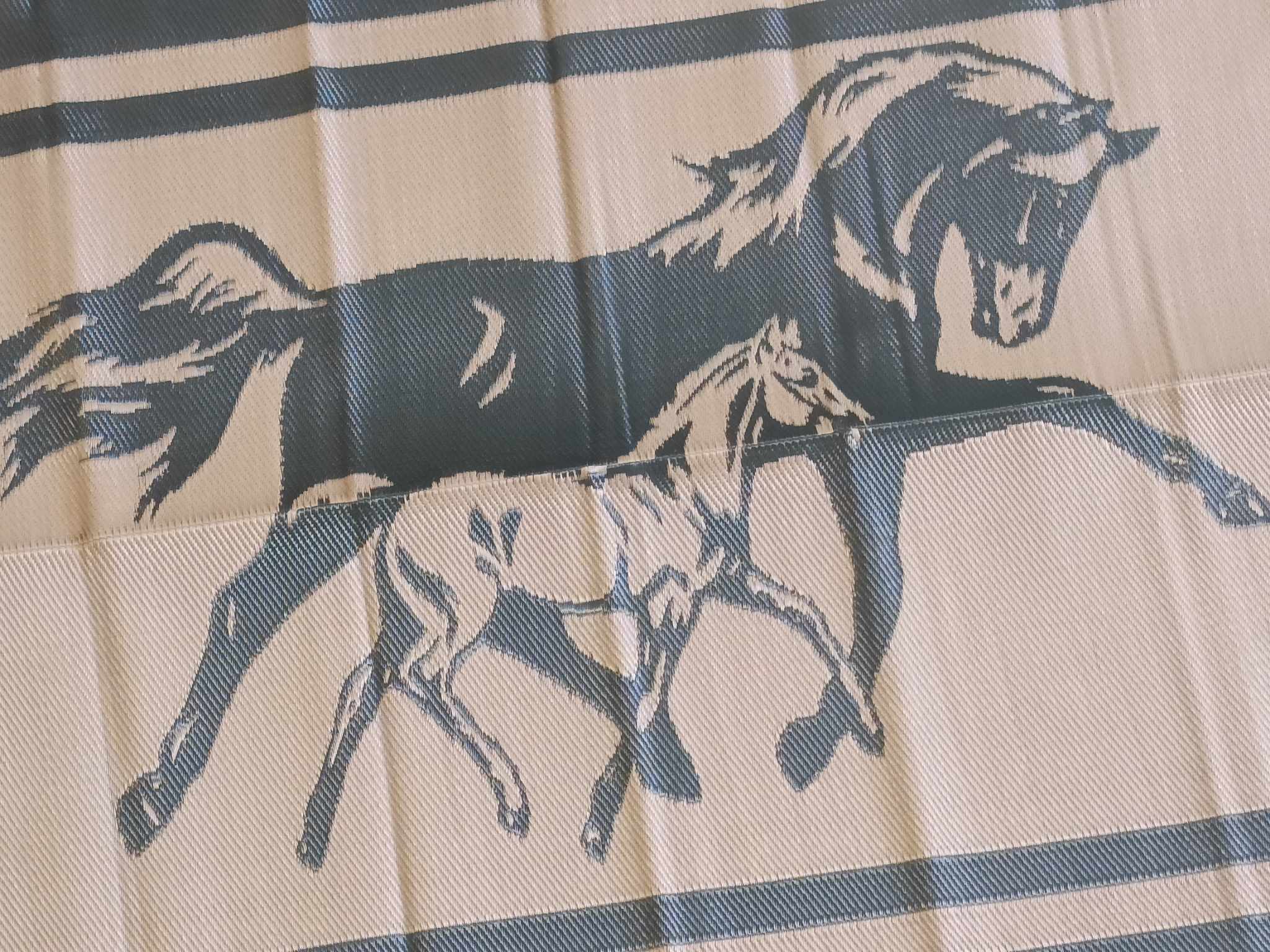 Caravan Accessories: Horse 5m x 2.4m camping mat