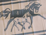 Caravan Accessories: Horse 5m x 2.4m camping mat