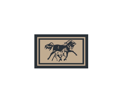 Caravan Accessories: Horse 5m x 2.4m camping mat
