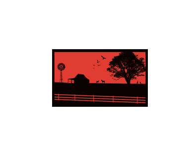 Caravan Accessories: Country Orange 6m x 2.4m recycled mat