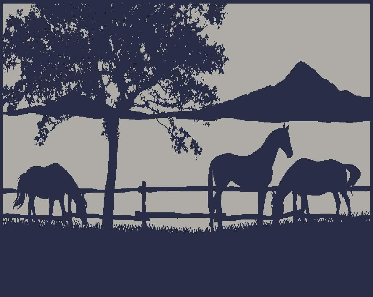 Caravan Accessories: Ranch 5m x 2.4m recycled poly mat
