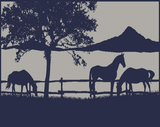 Caravan Accessories: Ranch 5m x 2.4m recycled poly mat