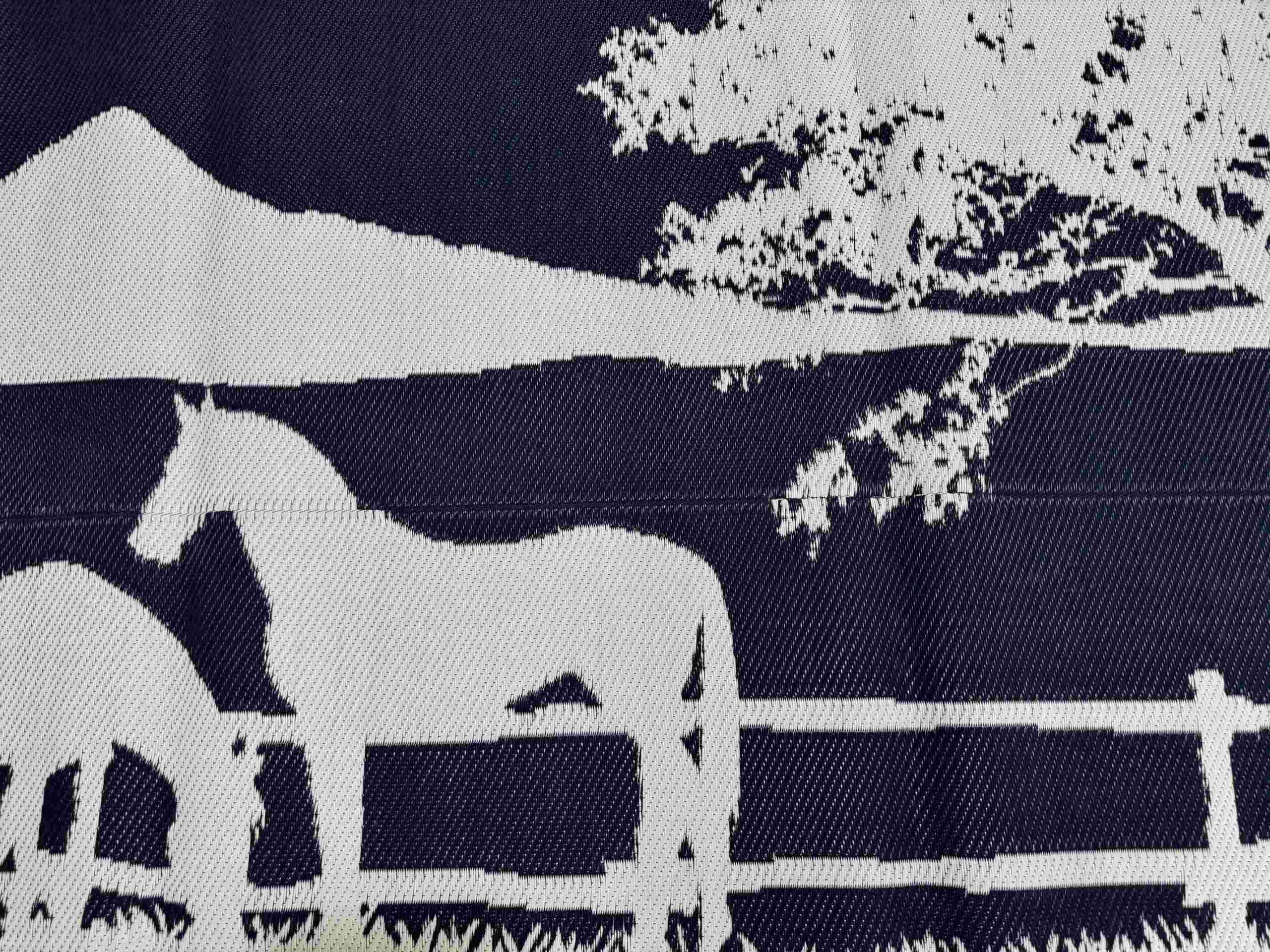 Caravan Accessories: Ranch 5m x 2.4m recycled poly mat