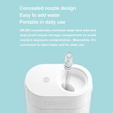 Oral Care: DR.BEI Portable Water Flosser GF3