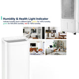 Dehumidifiers: Midea FreshDry Dehumidifier Air Purifier 12L/Day with HEPA Filter Low Noise