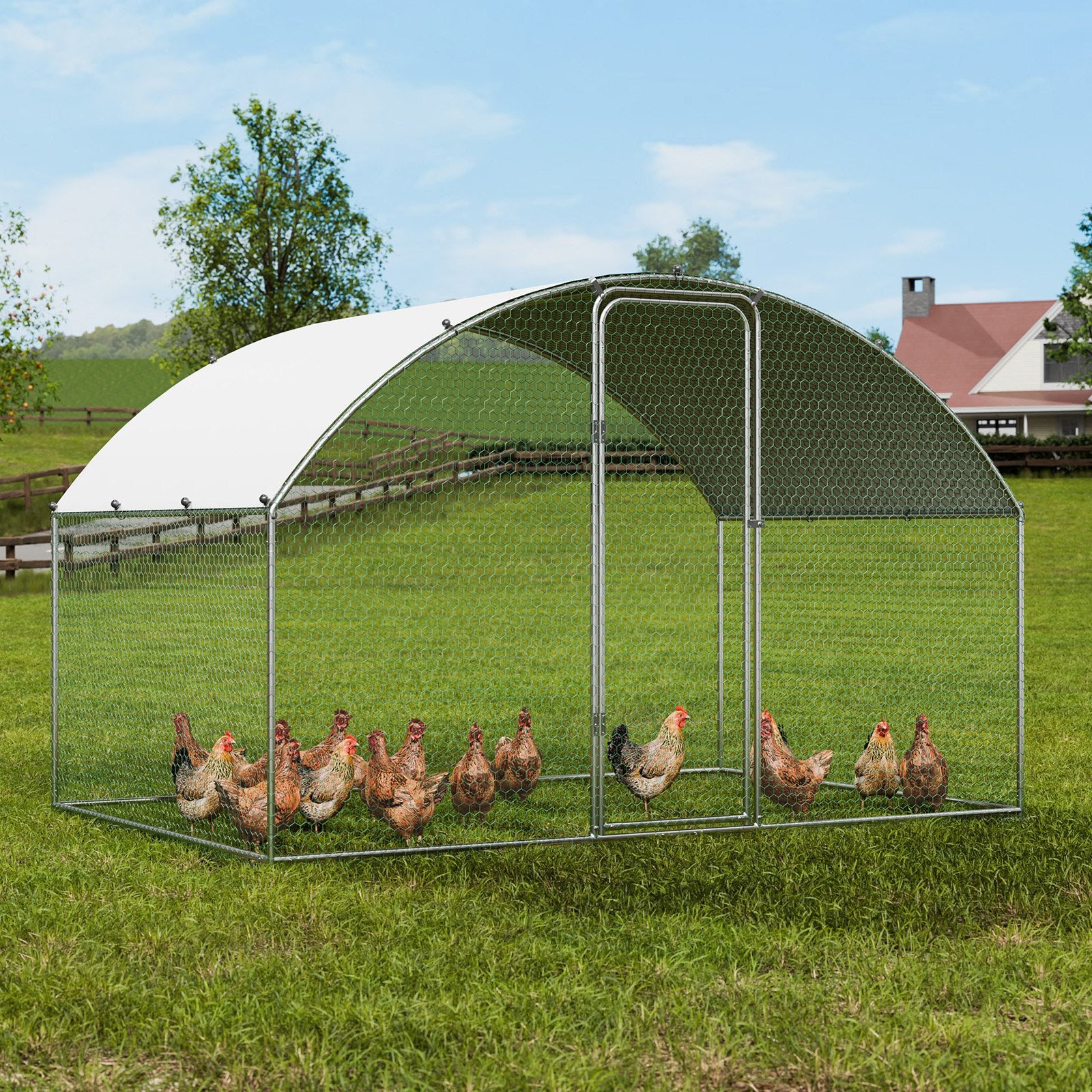 Small Animal Habitats & Cages: VEVOR Chicken Coop, 9.8x6.5x6.5ft Walk-in Large Metal Chicken Run for Yard with Waterproof Cover, Doom Roof Hen House with Security Lock for Outdoor and Backyard, Farm, Duck Rabbit Cage Poultry Pen
