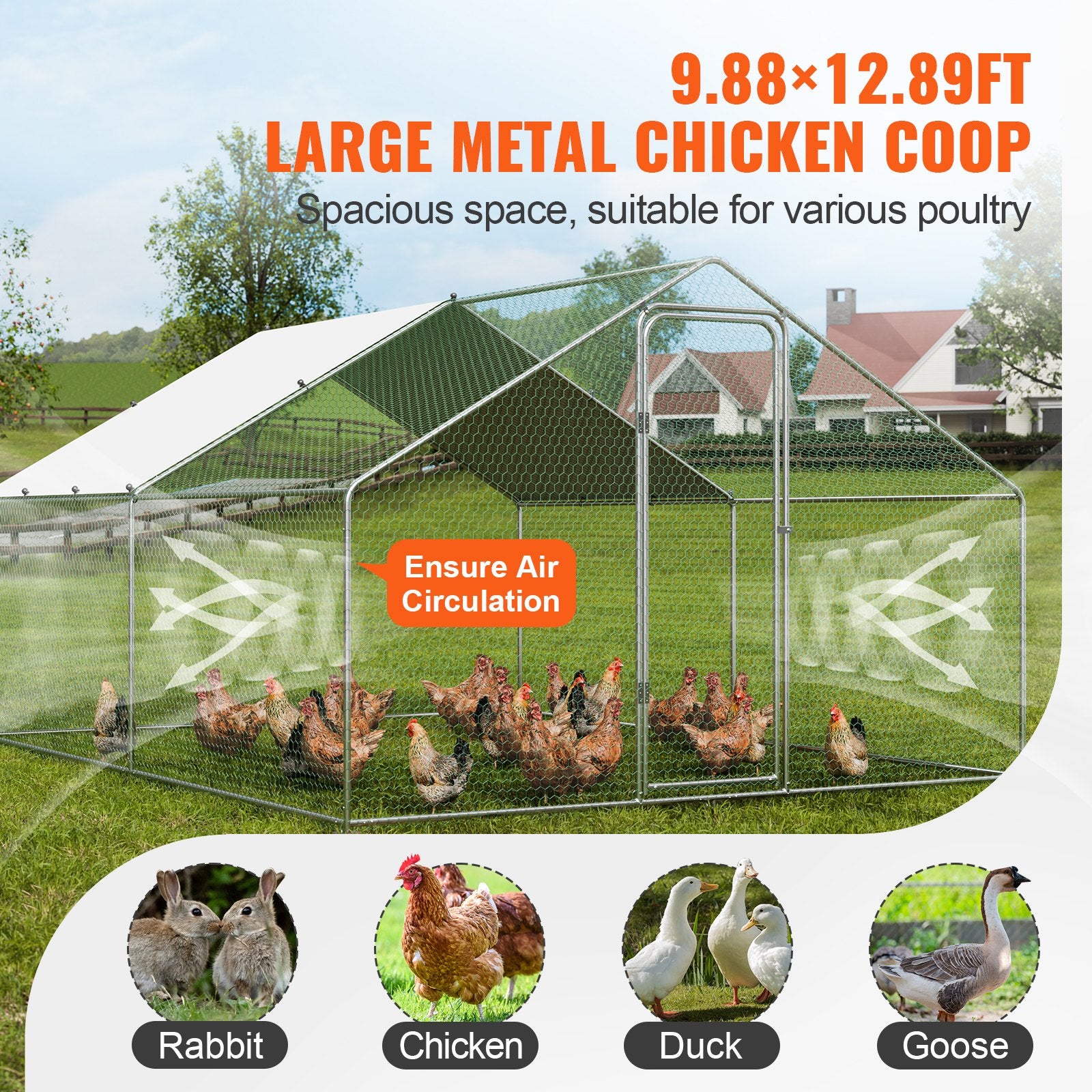 Small Animal Habitats & Cages: VEVOR Large Metal Chicken Coop, 3x3.93x1.99 m Walk-in Chicken Runs for Yard with Cover, Spire Roof Hen House with Security Lock for Outdoor and Backyard, Farm, Duck Rabbit Cage Poultry Pen
