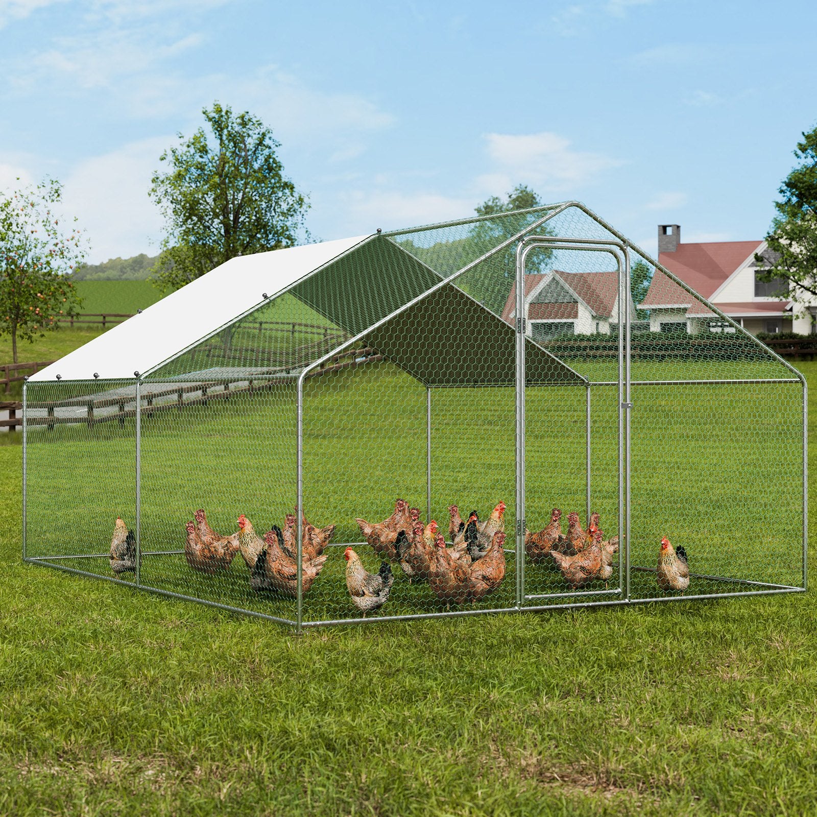 Small Animal Habitats & Cages: VEVOR Large Metal Chicken Coop, 3x3.93x1.99 m Walk-in Chicken Runs for Yard with Cover, Spire Roof Hen House with Security Lock for Outdoor and Backyard, Farm, Duck Rabbit Cage Poultry Pen