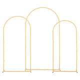 Bath Caddies: VEVOR Arch Backdrop Stand, Set of 3, 2.2/2/1.8 m , Stable Structure, Easy Assembly, Gold Metal Arch Backdrop Stand for Wedding, Birthday Party, Graduation, Holiday Celebration, and Ceremony Decoration