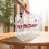 Board Games: VEVOR Acrylic Raffle Drum, Holds 2500 Tickets or 100 Raffle Balls, Professional Raffle Ticket Spinning Cage with 2 Keys, Transparent Lottery Spinning Drawing, Raffle Ticket Box for Lottery Games Bingo