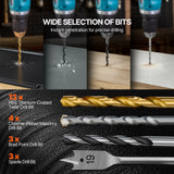 Power Drills & Accessories: VEVOR Drill Bit Set 70 PCS Screwdriver Bit Set with Carrying Case Multi-purpose