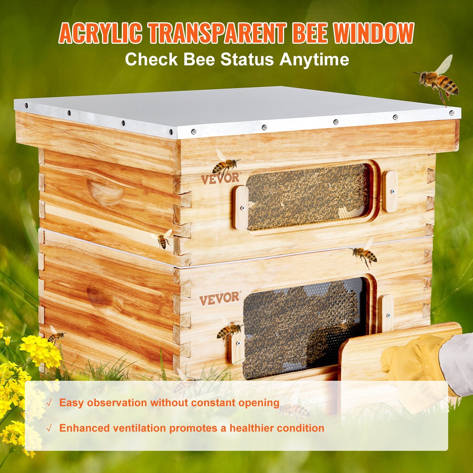 Beekeeping: VEVOR Bee Hive 20 Frame Bee Hives Starter Kit, Beeswax Coated Cedar Wood, 1 Deep + 1 Medium Bee Boxes Langstroth Beehive Kit, Transparent Acrylic Windows with Foundations for Beginners Pro Beekeepers