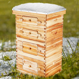Beekeeping: VEVOR Bee Hive 40 Frame Bee Hives Starter Kit, Beeswax Coated Cedar Wood, 2 Deep + 2 Medium Bee Boxes Langstroth Beehive Kit, Transparent Acrylic Windows with Foundations for Beginners Pro Beekeepers
