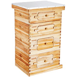 Beekeeping: VEVOR Bee Hive 40 Frame Bee Hives Starter Kit, Beeswax Coated Cedar Wood, 2 Deep + 2 Medium Bee Boxes Langstroth Beehive Kit, Transparent Acrylic Windows with Foundations for Beginners Pro Beekeepers