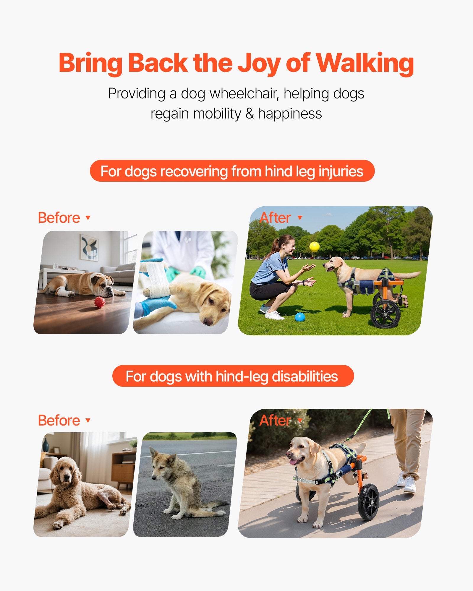 Dog Wheelchair for Back Legs, Lightweight 2 Wheels Pet Wheelchair, Height, Width & Length Adjustable, Dog Cart with Shock-Absorbing Wheels, for Injured, Disabled Dogs 15.8-21.7 kg, Medium