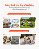 Mobility & Accessibility: VEVOR Dog Wheelchair for Back Legs, Lightweight 2 Wheels Pet Wheelchair, Height, Width & Length Adjustable, Dog Cart with Shock-Absorbing Wheels, for Injured, Disabled Dogs 15.8-21.7 kg, Medium