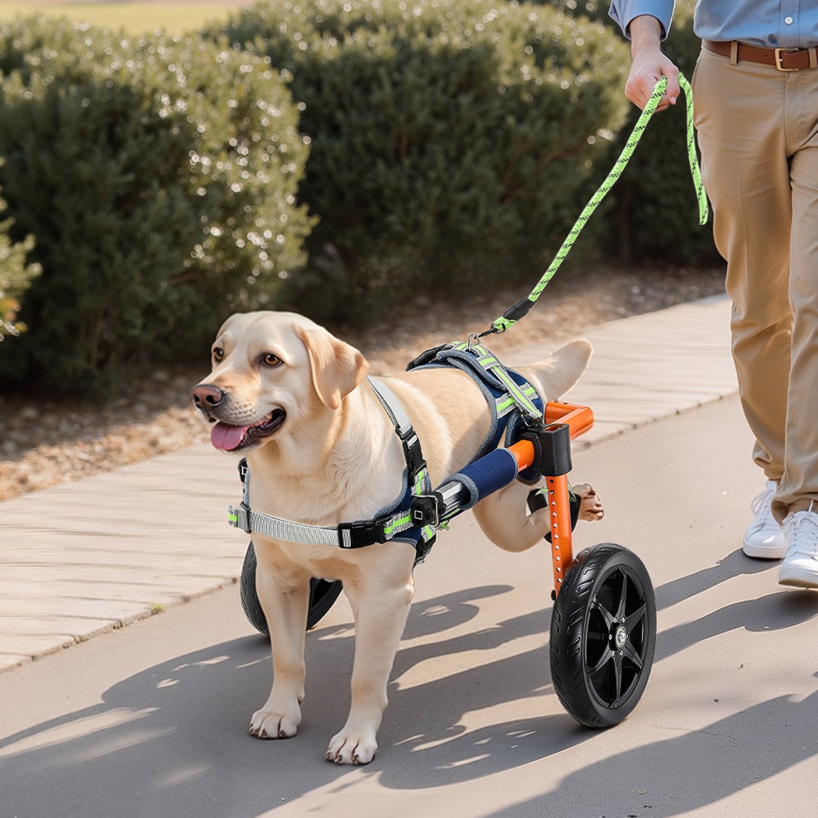 Dog Wheelchair for Back Legs, Lightweight 2 Wheels Pet Wheelchair, Height, Width & Length Adjustable, Dog Cart with Shock-Absorbing Wheels, for Injured, Disabled Dogs 15.8-21.7 kg, Medium