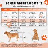 Mobility & Accessibility: VEVOR 2 Wheels Dog Wheelchair for Back Legs, Pet Wheelchair Lightweight & Adjustable Assisting in Healing,  Dog Cart/Wheelchair for Injured, Disabled, Paralysis, Hind Limb Weak Pet(M)