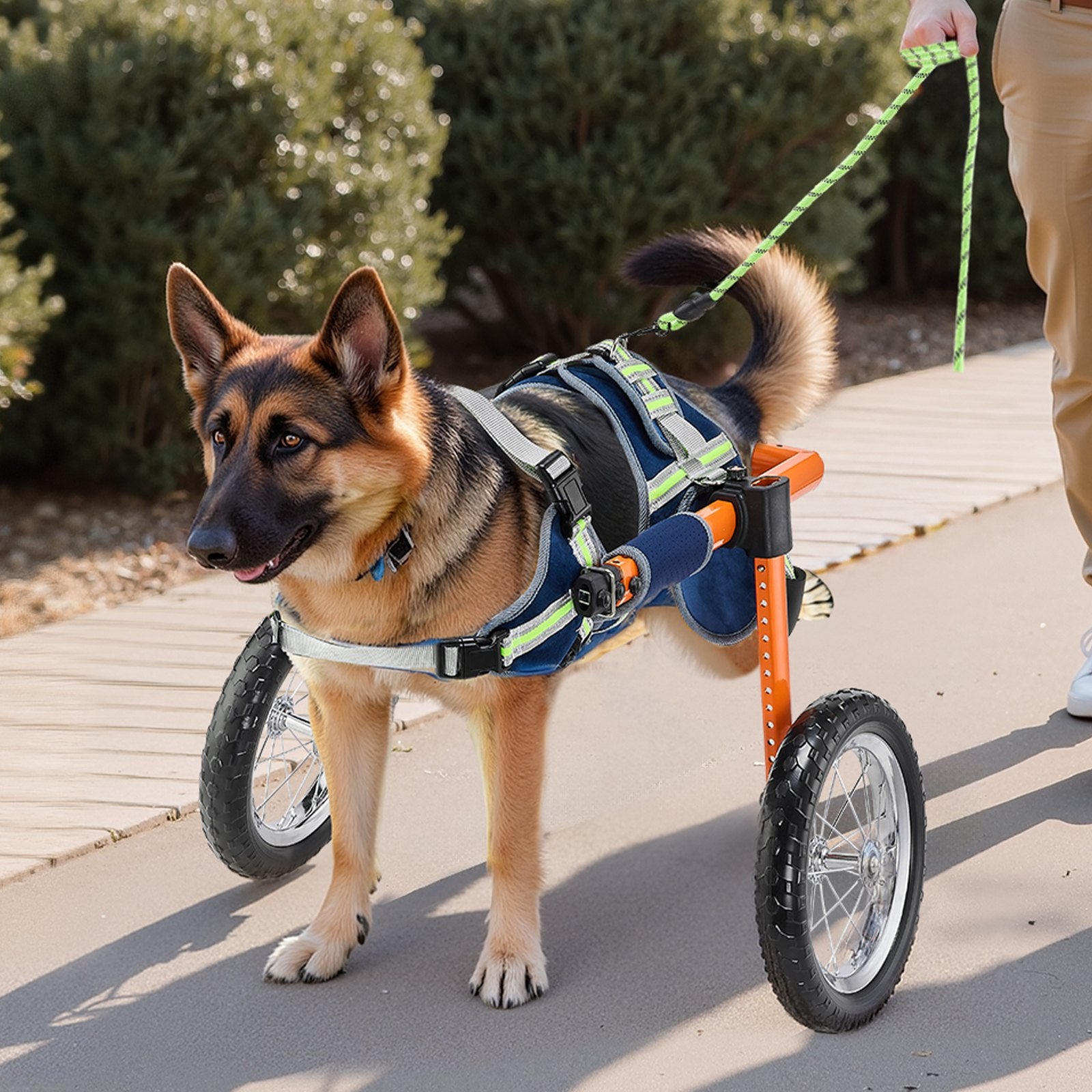 Dog Wheelchair for Back Legs, Lightweight 2 Wheels Pet Wheelchair, Height, Width & Length Adjustable, Dog Cart with Shock-Absorbing Wheels, for Injured, Disabled Dogs 21.7-39.9 kg, Large