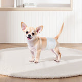 Food Storage: VEVOR Disposable Male Dog Diapers, Super Absorbent Male Dog Wraps, 360 ° Leak-Proof Belly Bands with Wetness Indicator for Doggies in Heat, Training, Incontinence - XS, 96 Count (2 Packs of 48)