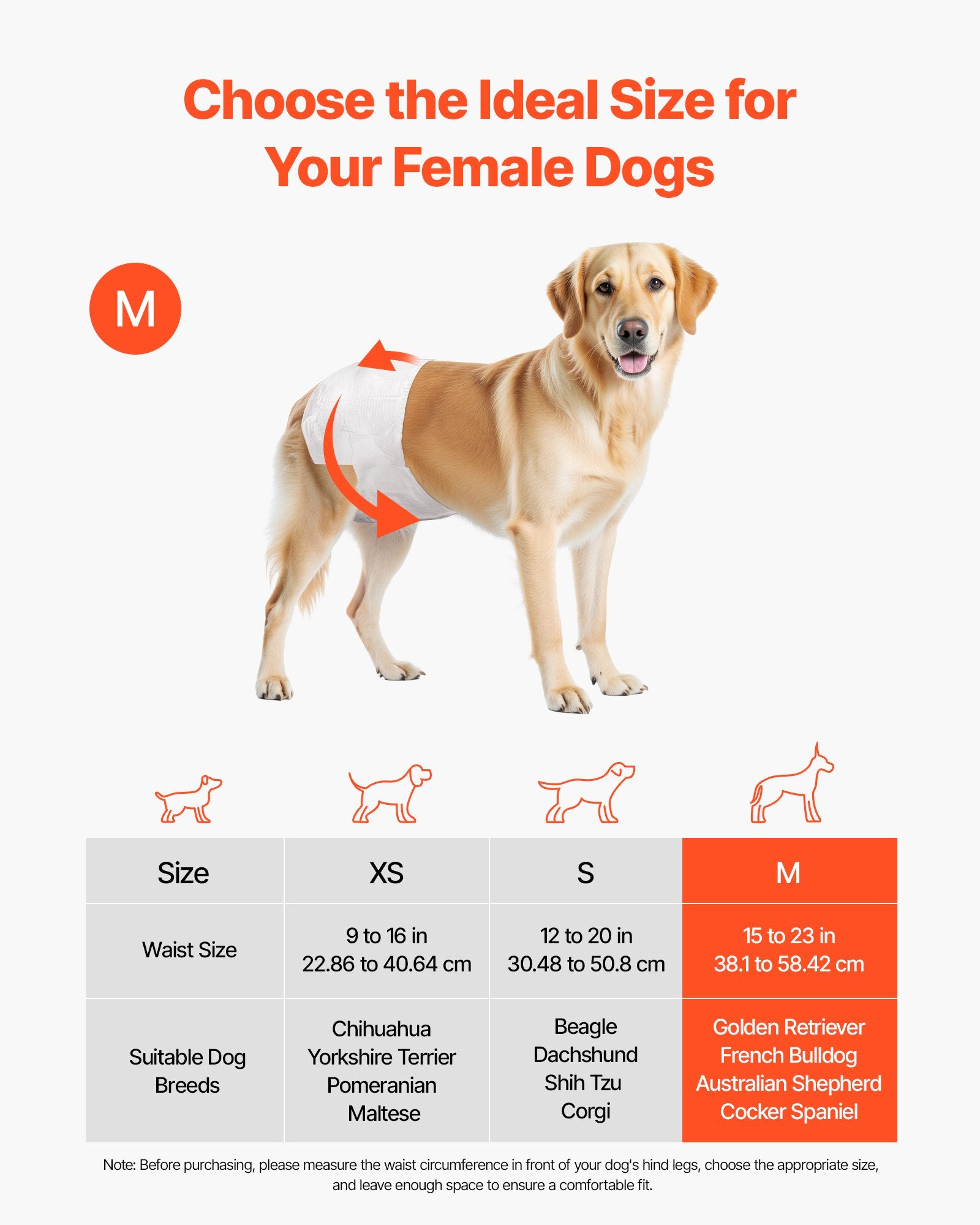 Food Storage: VEVOR Disposable Dog Diapers, Super Absorbent Female Dog Diapers, 360° Leak-Proof Female Doggy Pet Diaper with Wetness Indicator for Heat Period, Training, Incontinence - M, 144 Count (2 Packs of 72)