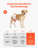 Food Storage: VEVOR Disposable Dog Diapers, Super Absorbent Female Dog Diapers, 360° Leak-Proof Female Doggy Pet Diaper with Wetness Indicator for Heat Period, Training, Incontinence - M, 144 Count (2 Packs of 72)