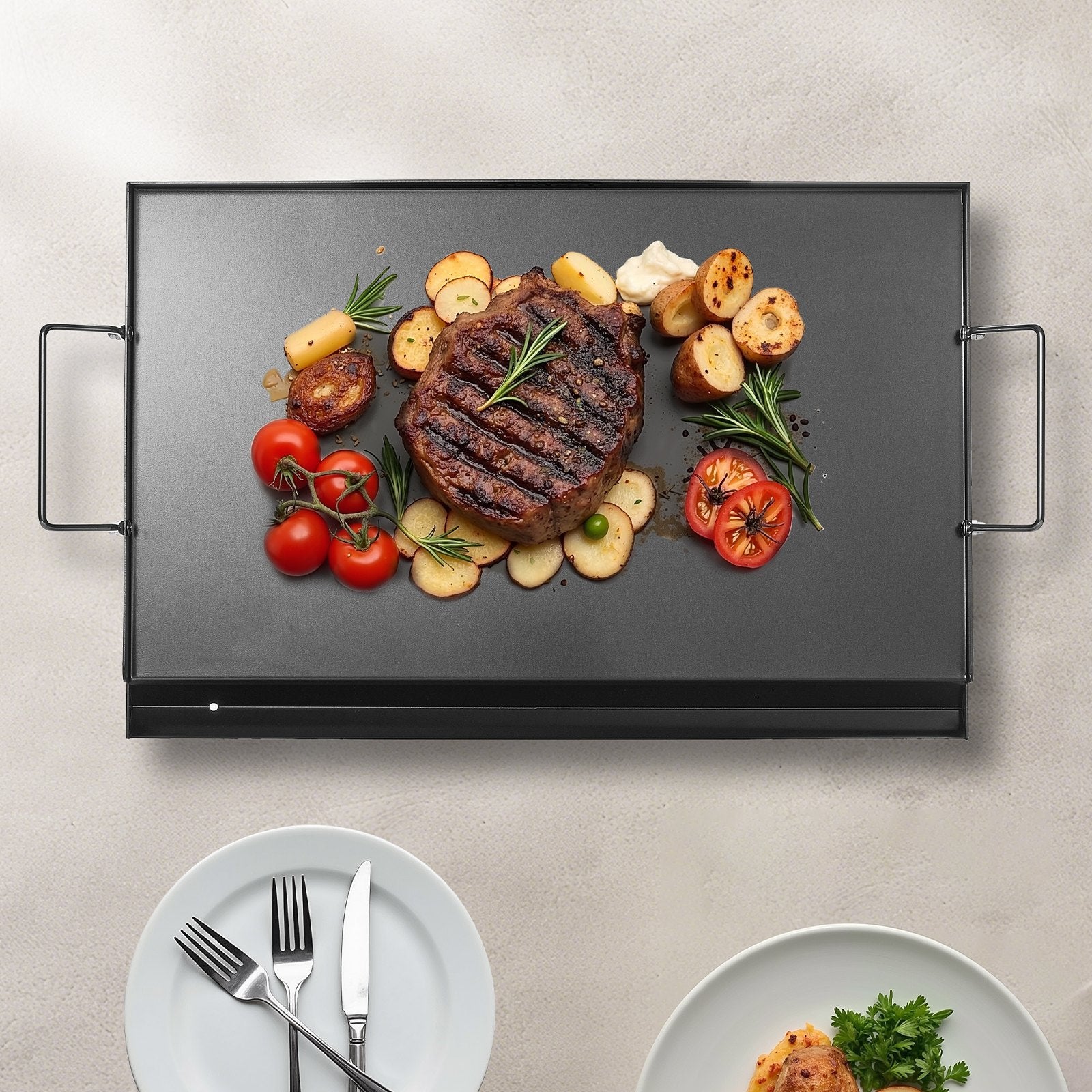 Paddles & Oars: VEVOR Carbon Steel Griddle, 24x16 inch Universal Flat Top Rectangular Plate, Gas Grill Griddle for BBQ Grill, Teppanyaki, Portable Family Cookware with Handle, for Camping Tailgating Party