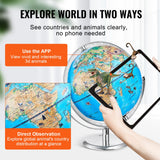 Outdoor Play Equipment: VEVOR Educational Globe for Kids, 254 mm, Interactive AR World Globe with AR Golden Globe APP LED Night Lighting Rotation, STEM Toy Gifts for Kids Compatible with Android or iOS Devices