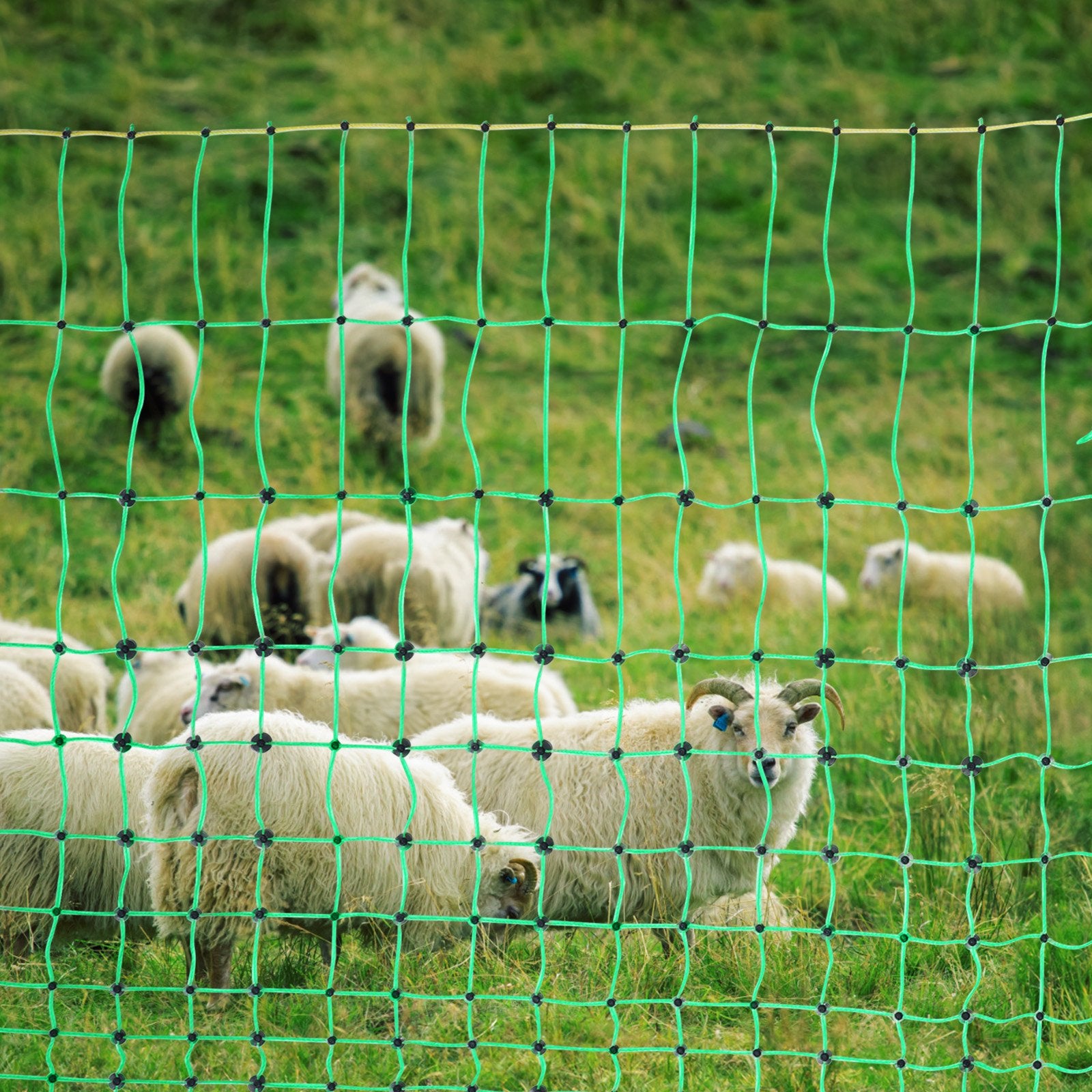Fencing: VEVOR Electric Fence Netting, 1.06 x 49.98 m, PE Net Fencing with Posts & Double-Spiked Stakes, Utility Portable Mesh for Goats, Sheep, Lambs, Deer, Hogs, Dogs, Used in Backyards, Farms, and Ranches